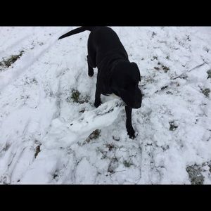 Meet your Posher, Joy